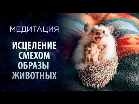 Видео: Духовная практика:  "Исцеление смехом. Образы животных"  Медитация от болезней. Часть 2. Сиддхи