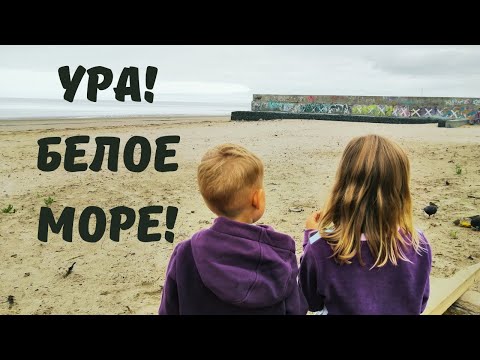 Видео: Ловим Креветку на Белом Море! Первый Раз Увидели Отлив! Остров Ягры. Северодвинск. Архангельск