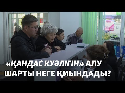 Видео: "Қандас куәлігін" алу шартын неге қиындады?