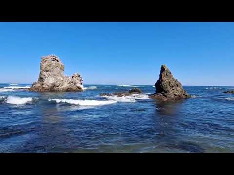 Видео: Сахалин  Мыс Птичий