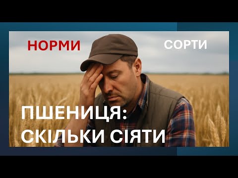 Видео: СОРТИ-НОРМИ №9 - Норма Висіву Пшениці: Як не Годувати зайві 8 Млн Стебел? Глибина посіву та Сорти