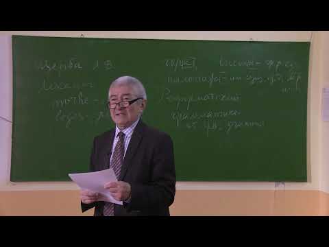 Видео: Морфология как учение  о грамматической природе  и грамматических формах слова