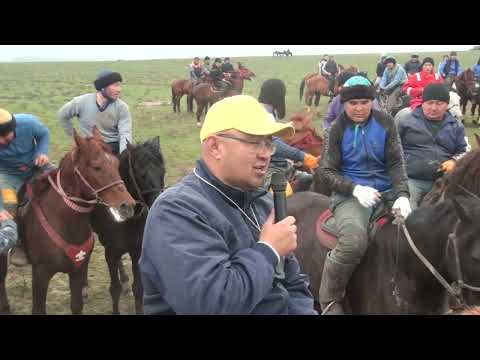 Видео: 12 03 23 Көкпар Сарыағаш Шенгелді Базарбаевтар әулеті