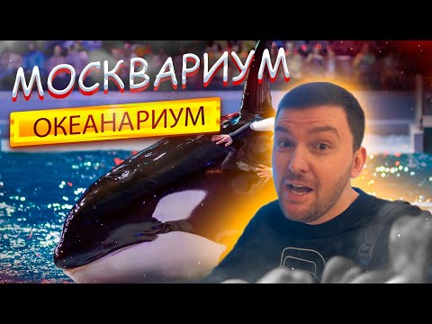 Видео: Москвариум 2025! Обзор. Лучший Океанариум! Развлечения в МОСКВЕ! Что посмотреть?ВДНХ, АКУЛЫ, КОСАТКА