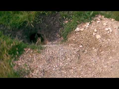 Видео: Виды деревни и окрестностей Старого Серёжкино