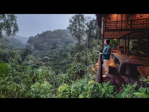 Видео: Жизнь в домике на дереве в ЧИАНГМАЕ 🇹🇭 Волшебный отдых в Таиланде