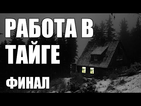Видео: Страшные истории. Работа в ТАЙГЕ. Финал.