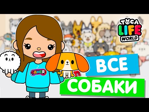 Видео: СОБИРАЮ ВСЕХ СОБАК в Тока Бока 🐕 Toca Life world