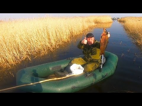 Видео: Рыбалка на паук!!! Рыбалка на сазана!!! Открыл сезон!!! Рыбалка 2022!!!