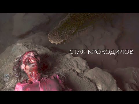 Видео: ЗАБРАЛИСЬ В ПЕЩЕРУ И НАТКНУЛИСЬ НА СТАЮ КРОКОДИЛОВ! Ужасы. Стая крокодилов.
