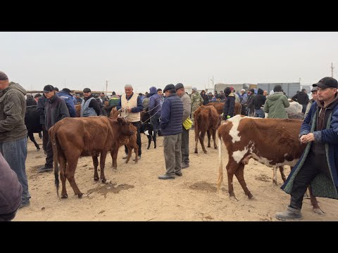 Видео: БЕРУНИЙ СИГИР БОЗОРИ 3 КИСМ 16.11.2025