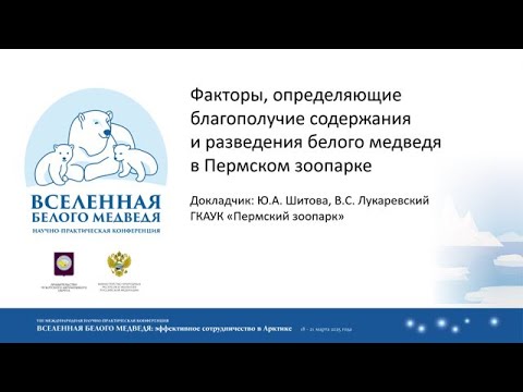 Видео: Факторы, определяющие благополучие содержания и разведения белого медведя в Пермском зоопарке