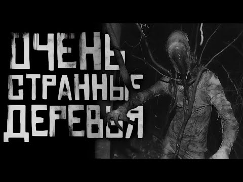 Видео: ОЧЕНЬ СТРАННЫЕ ДЕРЕВЬЯ... Страшные истории на ночь. Страшилки на ночь.