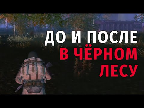 Видео: 22. До и После в Чёрном лесу. Купил Benelli. Stay Out | RU2