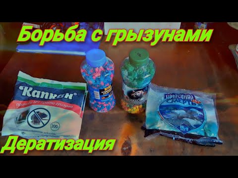 Видео: Борьба с грызунами