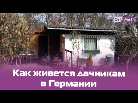 Видео: Дачи в Германии: кто на кого стучит?