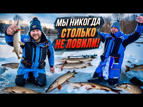 Видео: СКОЛЬКО ТУТ ЩУКИ? Шок! Мы никогда столько не ловили
