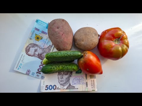 Видео: Скільки треба ввідати сил і часу,щоб заробити 100 000 у Відкритому вирощуванні?
