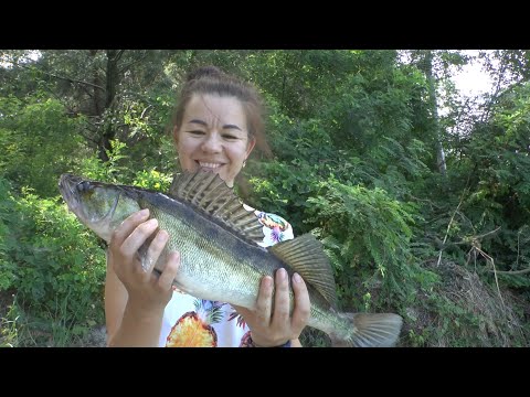 Видео: Риболовні пригоди ⚓ Святкуєм ДР 🎈 Ловимо Ляща та Судака 🎣 КЗ   1й день