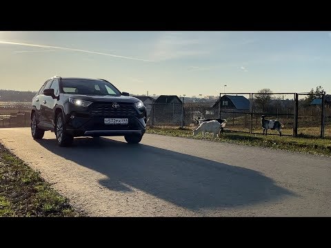 Видео: Почему я купил себе новый RAV4 (2019)