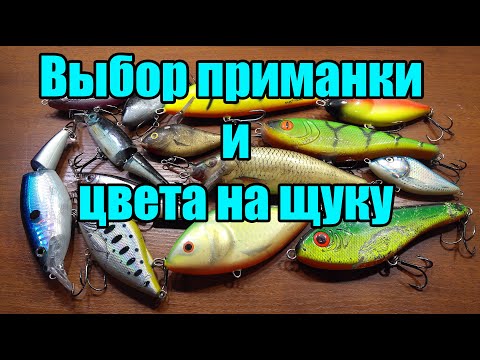 Видео: Как правильно выбрать лучшую приманку и цвет на щуку?