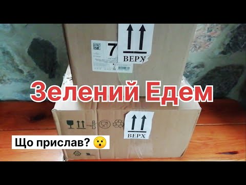 Видео: Моє НАЙДОРОЖЧЕ замовлення. ВЕЛИКА РОЗПАКОВКА від інтернет-магазину "Зелений Едем"