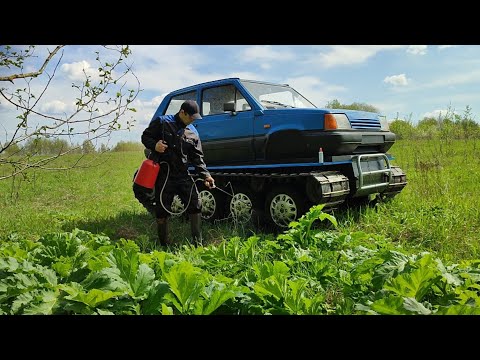 Видео: Гусеничный вездеход в поисках борщевика.