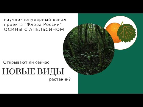 Видео: Открыть новый вид растений в 2023 году: возможно ли?