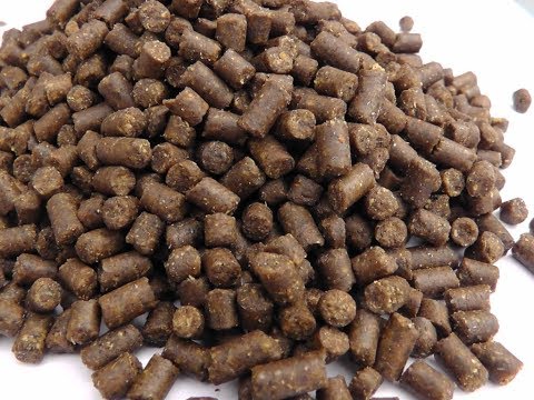 Видео: Рыбный корм высокого качества ! High quality fish feed