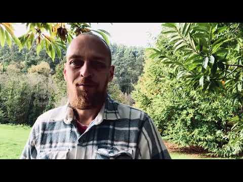 Видео: Про новый формат и паблик в ТГ