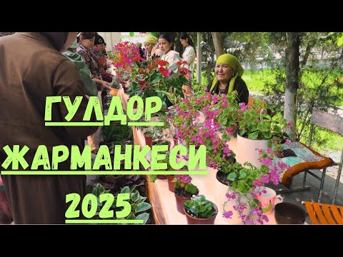 Видео: ГУЛ ЖАРМАНКЕ 2025 &  АЛА БУКА #flowers