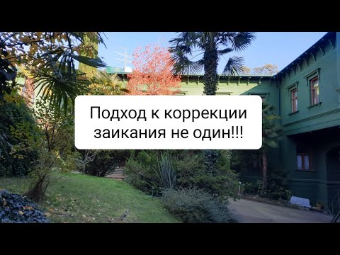 Видео: В видео описаны случаи людей с заиканием и разные подходы к его коррекции