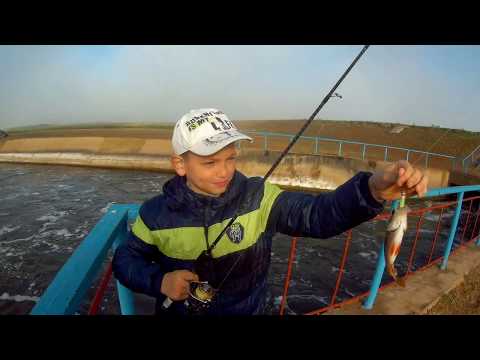 Видео: Ловля окуня в отвес. Рыбалка на шлюзе Битикского водохранилища.