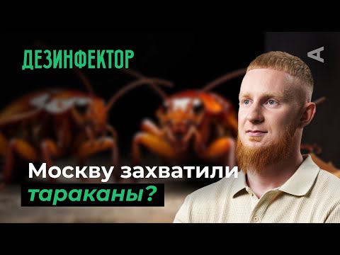 Видео: 10 глупых вопросов ДЕЗИНФЕКТОРУ
