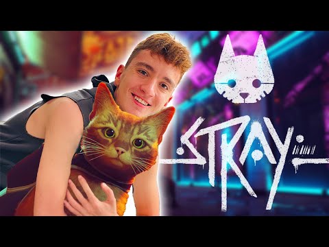 Видео: ОЦЕЛЯВАМ КАТО БЕЗДОМНА КОТКА В STRAY!