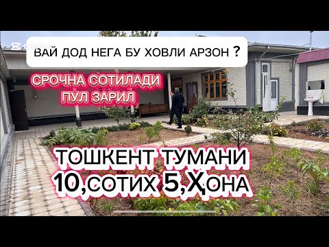 Видео: ‼️ВАЙ ДОД НЕГА БУ ЗЎР ХОВЛИ ‼️АРЗОН? СРОЧНО‼️ СОТИЛАДИ ПУЛ ЗАРИЛ ТОШКЕНТ ВИЛОЯТИ ТОШКЕНТ ТУМАНИ