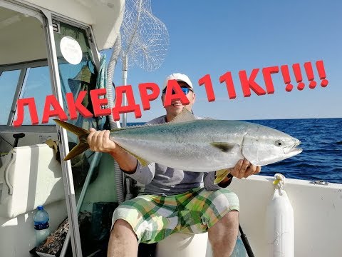 Видео: Морская рыбалка. ОГРОМНАЯ РЫБА!!! ЛАКЕДРА 11КГ!!