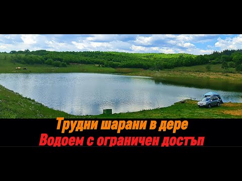 Видео: Трудни шарани в дере с дълбочина 8 метра