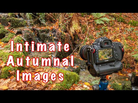 Видео: Интимные осенние образы — пейзажная фотография