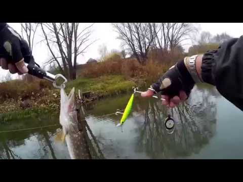 Видео: р. Мокша. Встреча под мостом и как я разловил новый воблер Pontoon21 - Cablista