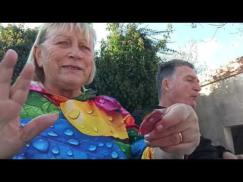 Видео: Нашли стол со скамейками в ХОЛОДОЧКЕ,упали😂Решили; дальше ни шагу👍😀SAN.ORESTE