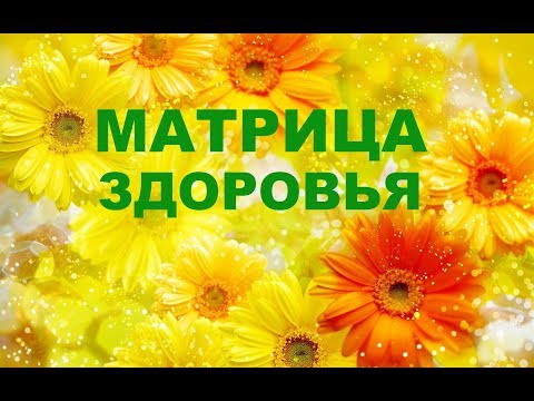 Видео: Как работает Матрица здоровья