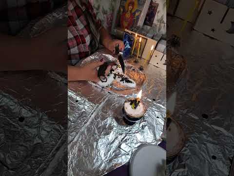 Видео: Отжиг от негатива и козней врагов.