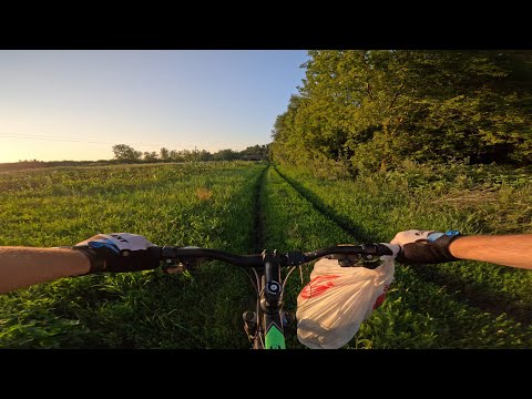 Видео: Велобонус №20. Вечерком с огурцами