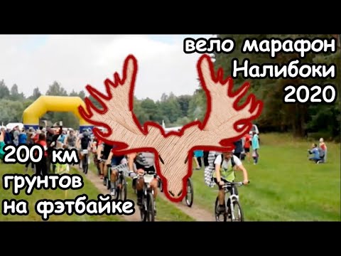 Видео: Марафон Налибоки 2020 - 200 км на фэтбайке