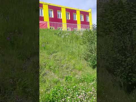 Видео: разноее времена года