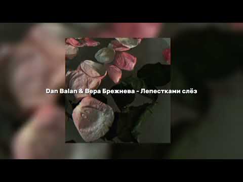 Видео: Dan Balan & Вера Брежнева - Лепестками слёз (speed up)