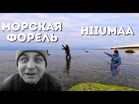 Видео: В Поисках Морской Форели: Морозное Морское Приключение на Острове Hiiumaa