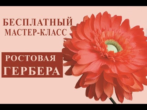 Видео: БЕСПЛАТНЫЙ МК. Ростовая Гербера из гофрированной бумаги./ Free master class.Big paper flower