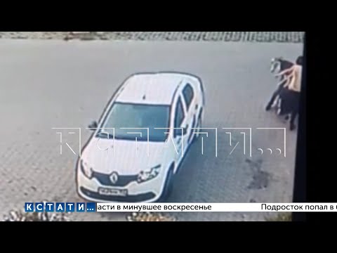 Видео: Подросткам, которые убили таксиста не желая платить, суд вынес повторный приговор